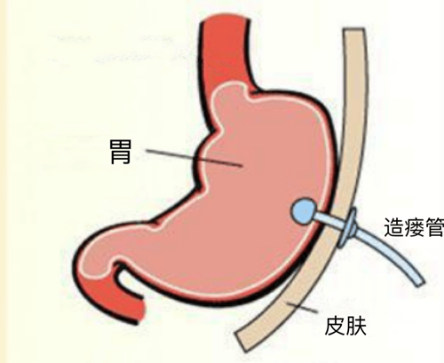 图片19.png 图片1.png